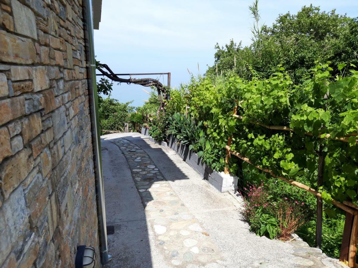 Agios Ioannis Ammos Papaneroアパートメント エクステリア 写真