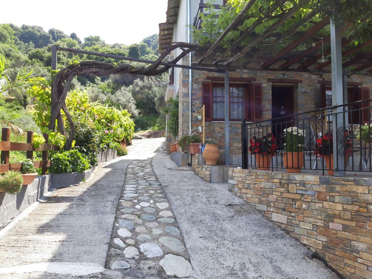 Agios Ioannis Ammos Papaneroアパートメント エクステリア 写真