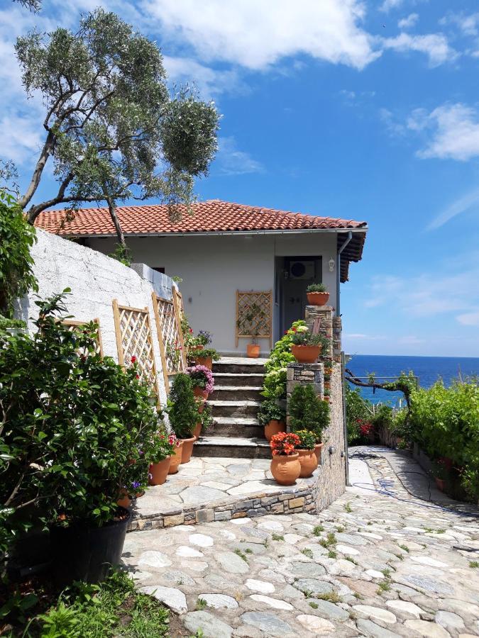 Agios Ioannis Ammos Papaneroアパートメント エクステリア 写真